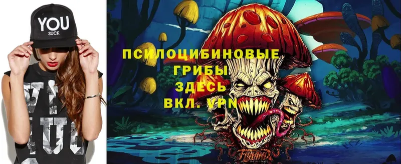 Галлюциногенные грибы Magic Shrooms  наркота  Прокопьевск 